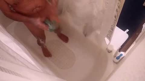 Snapshot of smithology chatting on 01/05/25, 03:11 Smithology online show from 01/05/25, 03:11