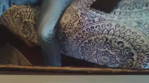 Snapshot of smithology chatting on 02/20/25, 10:26 Smithology online show from 02/20/25, 10:26