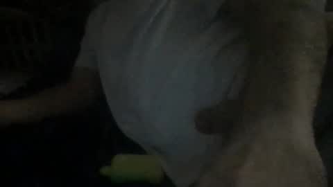 Snapshot of smokenfuk23 chatting on 11/30/25, 01:53 smokenfuk23 online show from 11/30/25, 01:53