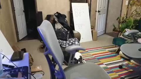 SnackMaster online show from 12/18/24, 03:26