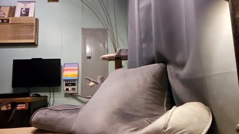 Snapshot of snackyyyy chatting on 02/06/26, 01:10 Snackyyyy online show from 02/06/26, 01:10