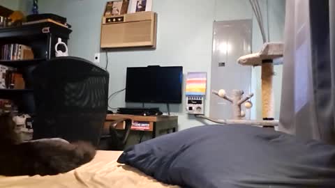 Snackyyyy online show from 03/17/26, 06:00