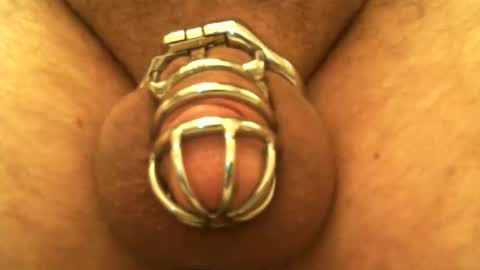 Snapshot of snakepit31 chatting on 12/24/24, 10:06 Sissy Boy online show from 12/24/24, 10:06