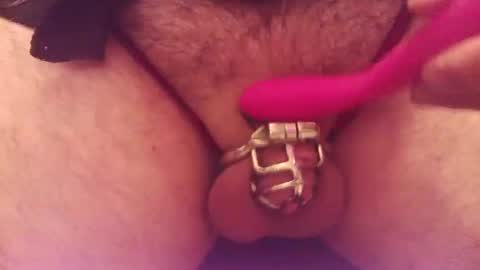 Snapshot of snakepit31 chatting on 09/14/25, 07:46 Sissy Boy online show from 09/14/25, 07:46