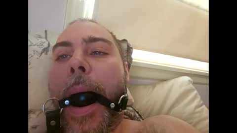 Snapshot of snarkymarks chatting on 12/17/25, 03:51 snarkymarks online show from 12/17/25, 03:51