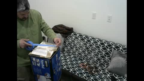 Snapshot of snizniz chatting on 02/11/25, 06:30 snizniz online show from 02/11/25, 06:30