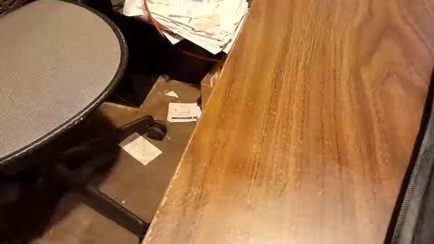 Snapshot of snowboarder699 chatting on 02/15/26, 01:09 watchmecum online show from 02/15/26, 01:09