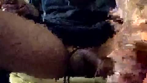 Lets play n party online show from 01/07/26, 07:55