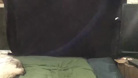 Snapshot of snowsurfer2 chatting on 11/01/25, 01:51 Riley Ray online show from 11/01/25, 01:51