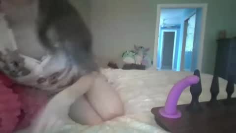 Snapshot of soaring_angel chatting on 12/30/24, 03:24 soaring_angel online show from 12/30/24, 03:24