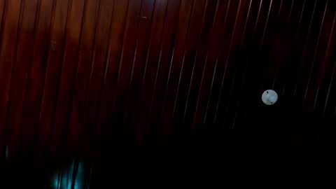 leidy online show from 12/24/24, 04:51