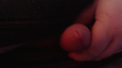 Tom online show from 01/26/25, 01:47