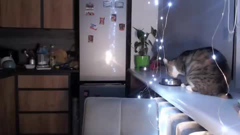 Sofi online show from 01/19/25, 10:39