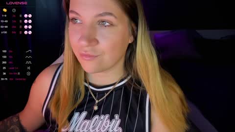 Snapshot of sofia__fairy chatting on 01/21/25, 09:03 Sofia Lush is active PVT is open Welcome to the world of pleasure online show from 01/21/25, 09:03