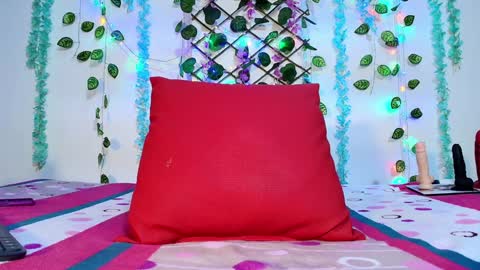 Snapshot of sofia_fer chatting on 01/28/25, 05:43 sofia online show from 01/28/25, 05:43