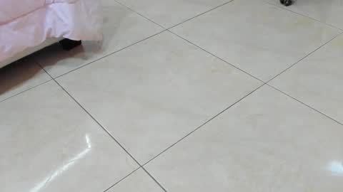 sofiaabigboobs online show from 11/25/25, 11:54