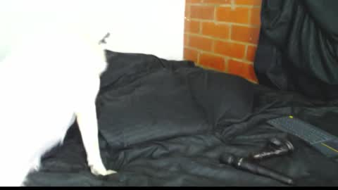 Snapshot of sofy_dep chatting on 02/21/26, 03:07 Sofy online show from 02/21/26, 03:07