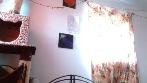 Sofia online show from 01/06/26, 12:09