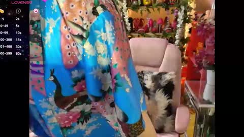 solesticia online show from 02/03/26, 05:51