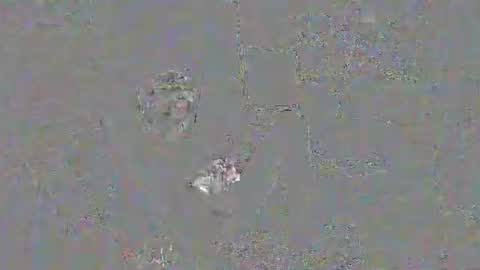 solilay online show from 03/29/26, 02:28