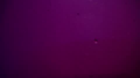 Alexa online show from 12/28/24, 11:26