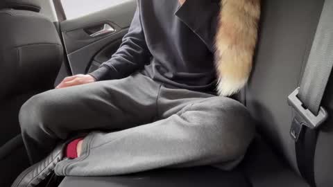 Snapshot of sondages chatting on 02/23/25, 08:49 Sondages online show from 02/23/25, 08:49