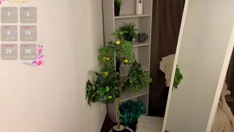 Hello im Virginia online show from 04/15/26, 07:58