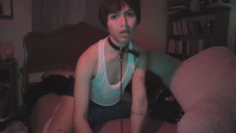 Snapshot of soophiebby chatting on 12/28/24, 12:13 soophiebby online show from 12/28/24, 12:13