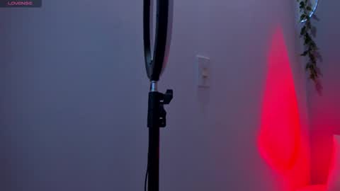 Sophie online show from 12/20/25, 07:10