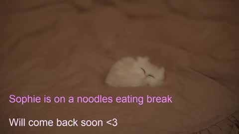 Snapshot of sophiephoria chatting on 02/06/25, 07:40 Sophie Next stream 3 online show from 02/06/25, 07:40