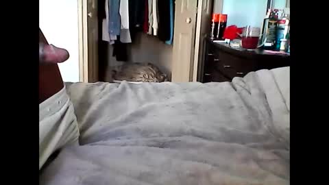 Snapshot of soulzen666 chatting on 12/04/25, 09:01 Soul online show from 12/04/25, 09:01