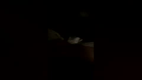 Snapshot of sovereign52 chatting on 06/07/26, 06:06 pantyass worship online show from 06/07/26, 06:06