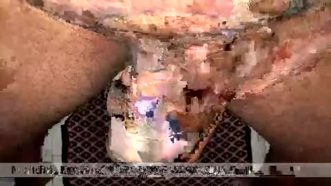 space Dog25 online show from 01/12/26, 02:39