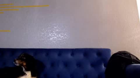 Snapshot of spankyspice chatting on 11/01/25, 07:10 spankyspice online show from 11/01/25, 07:10