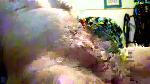 sparkybig127 online show from 12/07/24, 04:25