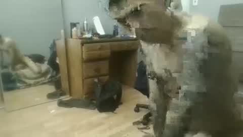 speedfreekeespun online show from 02/25/25, 07:14