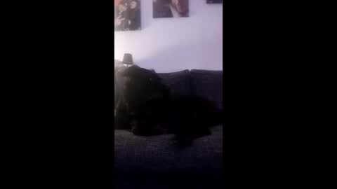 Snapshot of spermaking854897 chatting on 03/14/26, 04:07 spermaking854897 online show from 03/14/26, 04:07