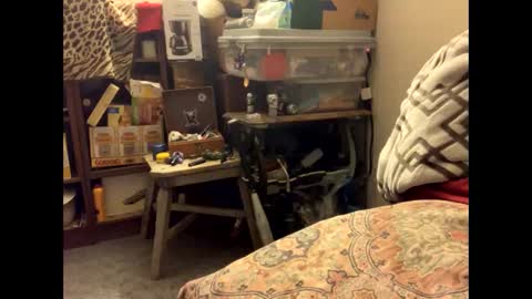 Snapshot of spermdoner23 chatting on 11/10/25, 01:32 spermdoner23 online show from 11/10/25, 01:32