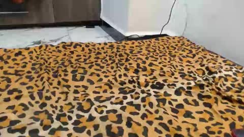 Snapshot of spice_queen chatting on 09/13/25, 12:43 dela online show from 09/13/25, 12:43