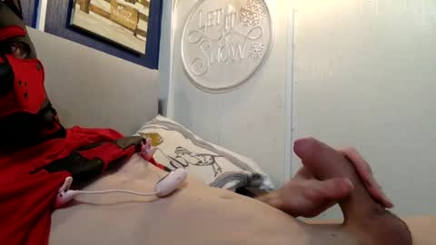 Spidey Pup online show from 12/26/24, 10:09