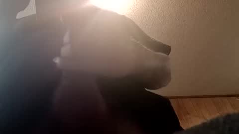 spundsrt online show from 02/24/25, 12:48