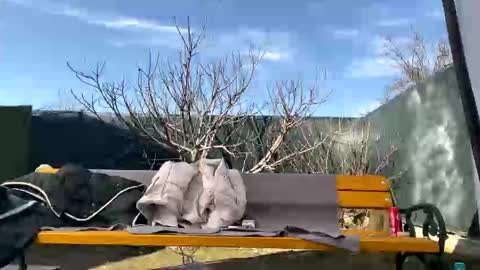 Snapshot of squirt_bunny77 chatting on 03/07/25, 10:02 My name is Maya Lush is activeThere are legends that in this room all your wishes can come true Private is Open online show from 03/07/25, 10:02