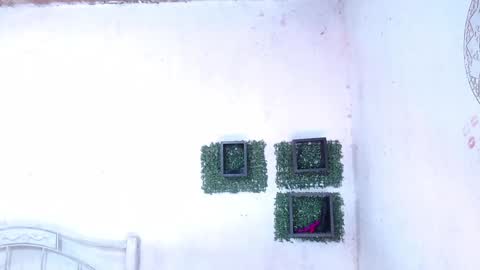 Snapshot of squirt_dirty_anal chatting on 01/25/25, 12:17 valeria online show from 01/25/25, 12:17