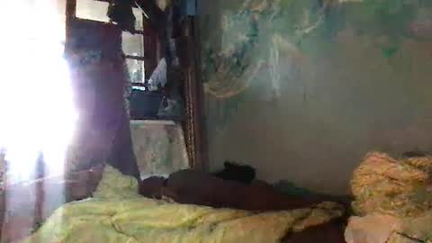 Snapshot of srekos38 chatting on 10/07/25, 06:32 srekos38 online show from 10/07/25, 06:32