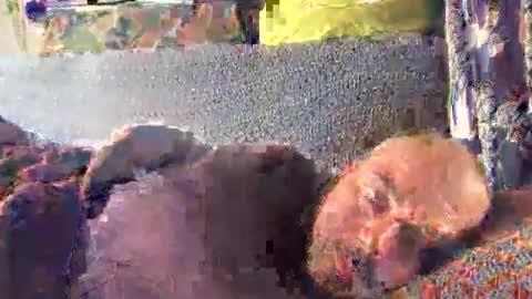 Snapshot of srekos38 chatting on 10/10/25, 12:37 srekos38 online show from 10/10/25, 12:37