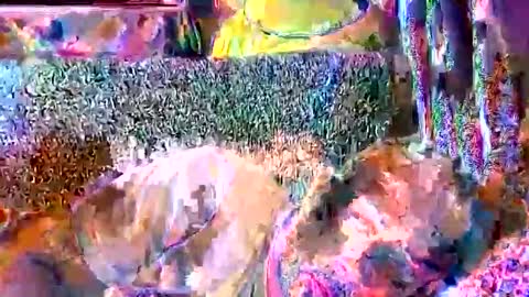 srekos38 online show from 04/11/26, 08:40