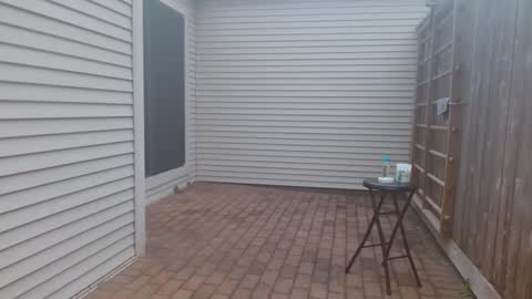 Snapshot of srtxshow chatting on 03/03/25, 11:24 srtxshow online show from 03/03/25, 11:24