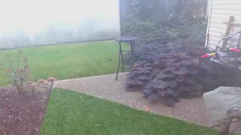 Snapshot of srtxshow chatting on 10/16/25, 01:45 srtxshow online show from 10/16/25, 01:45