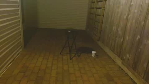 Snapshot of srtxshow chatting on 10/23/25, 11:53 srtxshow online show from 10/23/25, 11:53