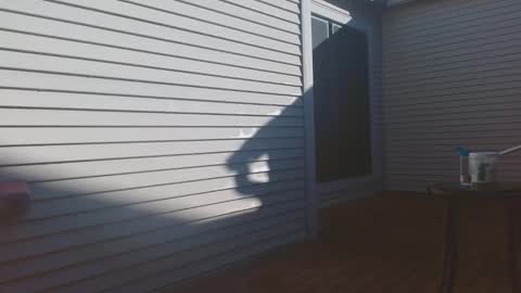 srtxshow online show from 02/09/26, 03:16